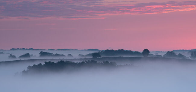De toppen van de Veluwe