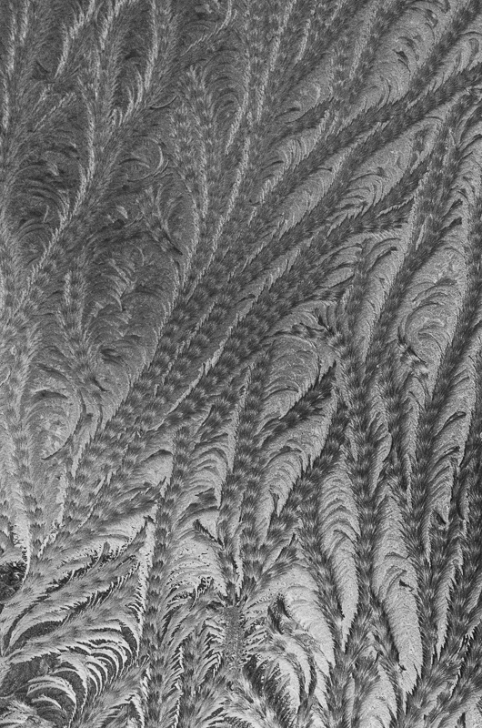 _BW70379-bewerkt-2