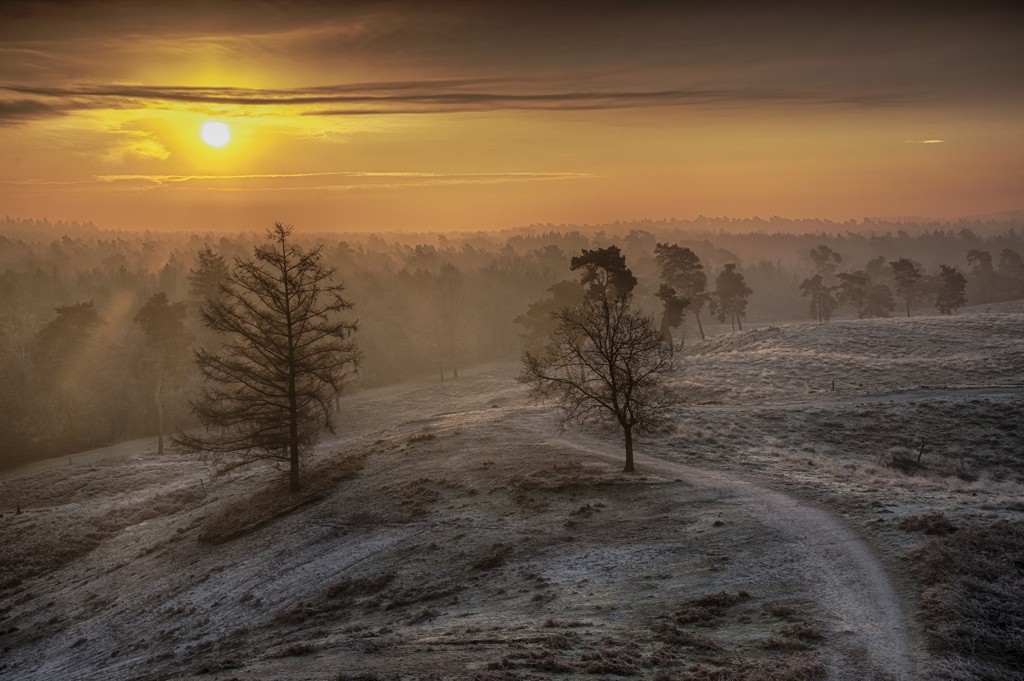 Maasduinen vanaf uitkijktoren