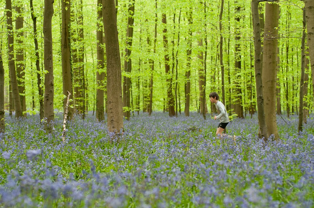Rennen in het Hallerbos